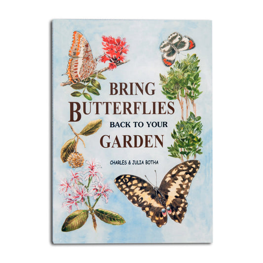 Bring Butterflies Back to Your Garden